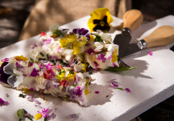 Edible flowers to grow in the garden