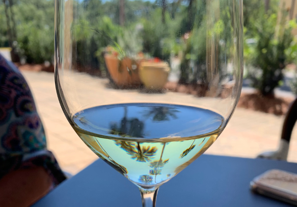 11 Best Places to Eat Dinner in Sandestin Resort from a Local