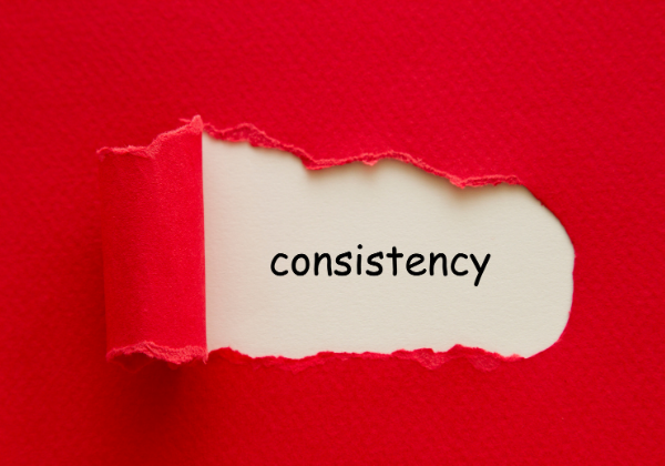 2024 Word of the Year Consistency