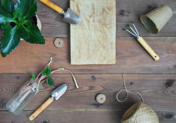 Spring Garden Tasks