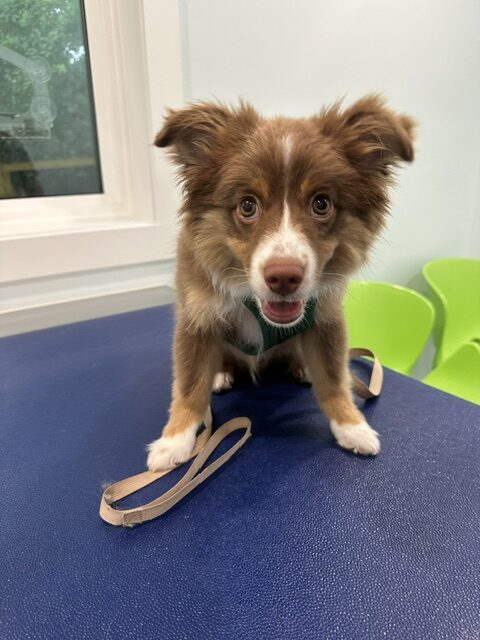 Byron at his six-month checkup