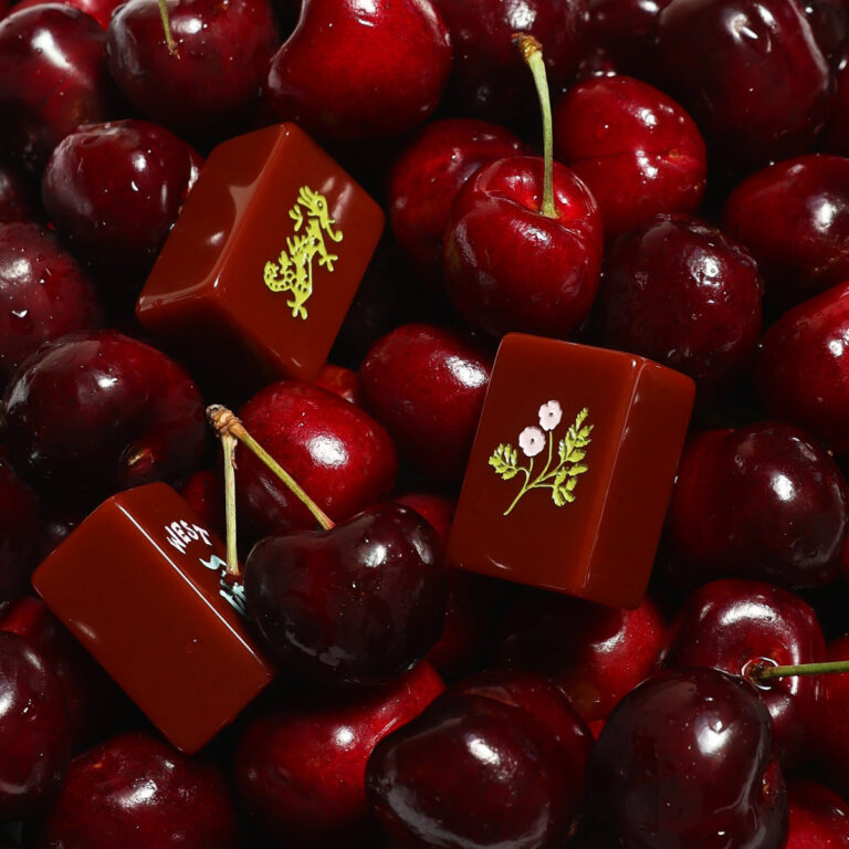 Brooklyn Mahjong Remsen oxblood mahjong tiles with cherries