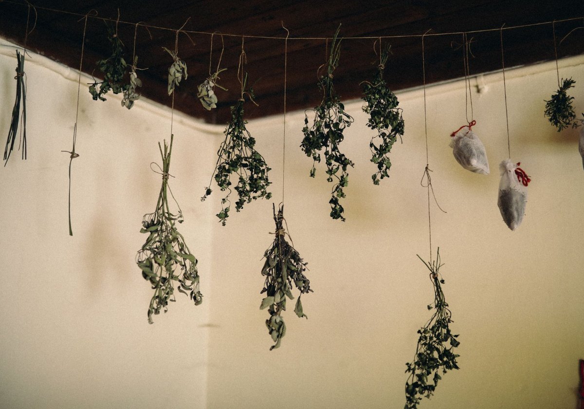 Bundles of thyme hanging upside down to dry
