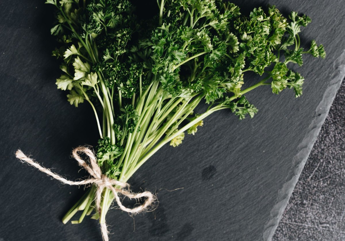 A tied bunch of freshly harvested parsley